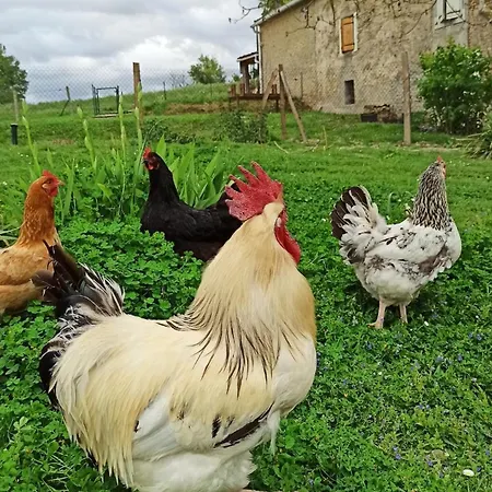Un Air D'autan, Labelisse 3 Etoiles Saint-Félix-Lauragais