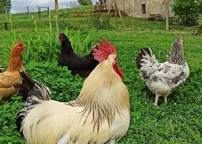 Un Air D'autan, Labelisse 3 Etoiles Saint-Félix-Lauragais